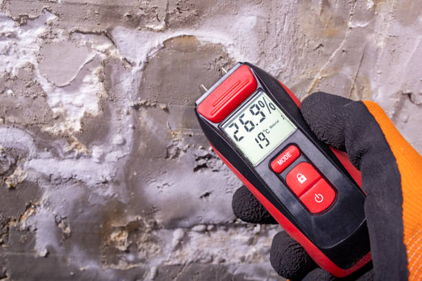 Best Mold Damage Repair  in Harmony Grove, CA
