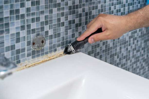 Best Black Mold Removal  in Harmony Grove, CA
