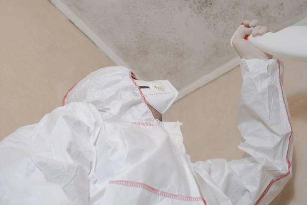Best Crawl Space Mold Removal  in Harmony Grove, CA