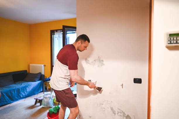 Best Mold Remediation  in Harmony Grove, CA